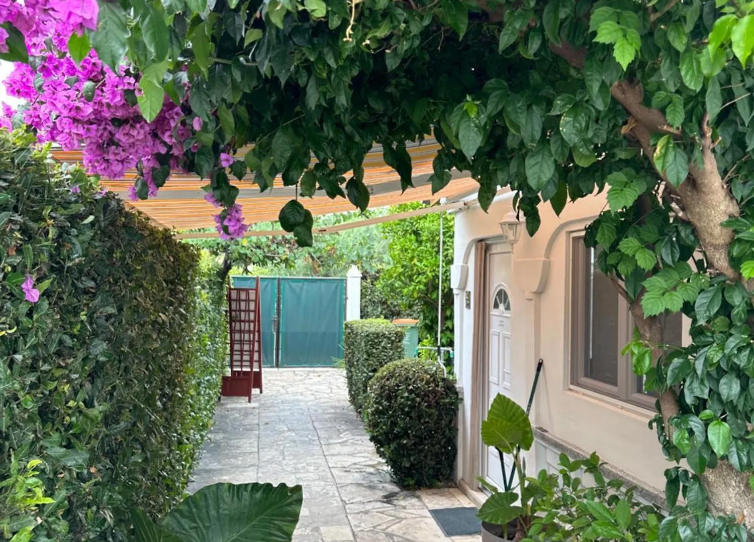 Apartment Luxury Residence Zola Zadar